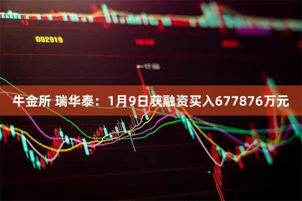 牛金所 瑞华泰：1月9日获融资买入677876万元