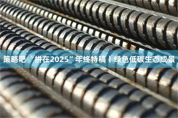 策略吧 “拼在2025”年终特稿丨绿色低碳生态成景